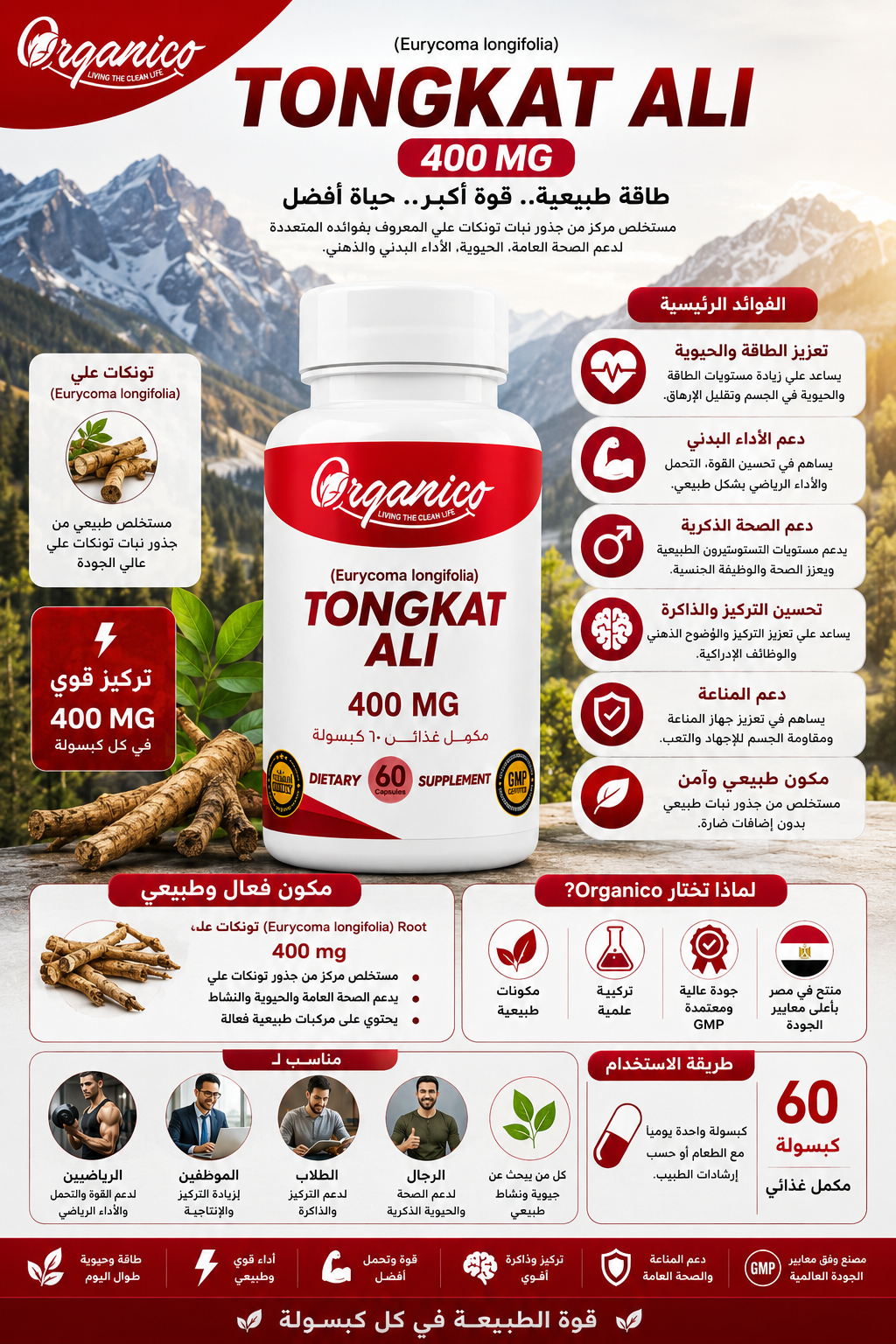 Premium Tongkat Ali 400 mg supplement designed to support energy, vitality, focus, physical performance and overall wellness. 60 capsules from Organico.