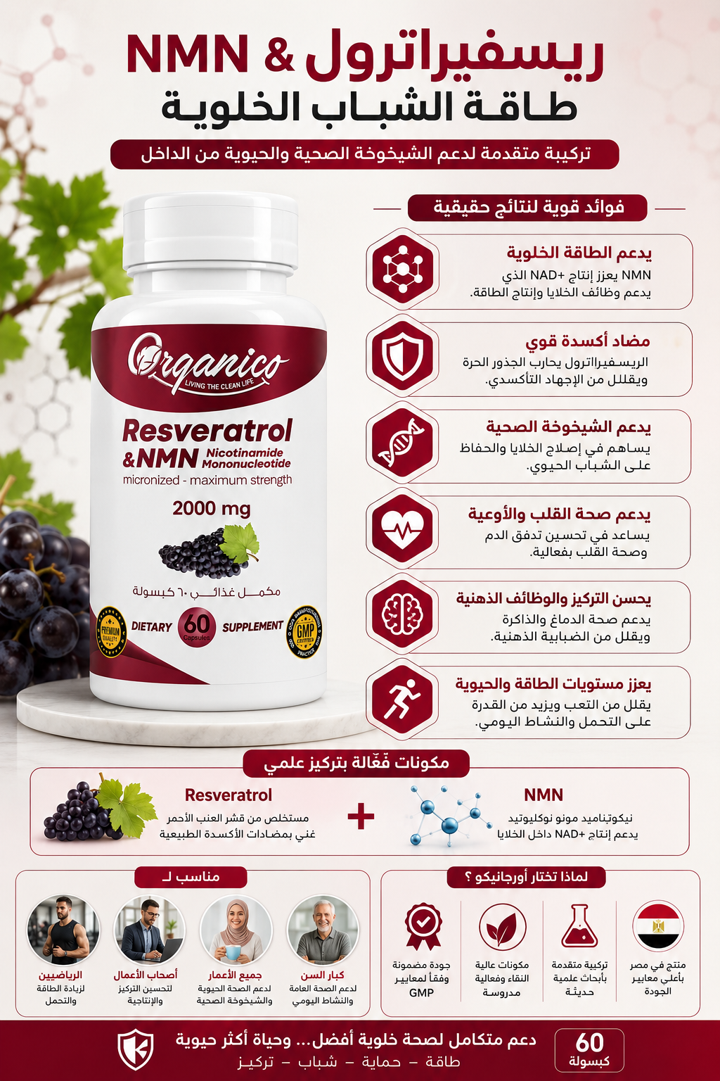 Organico Resveratrol & NMN 2000mg | Cellular Energy & Healthy Aging Support | 60 Capsules