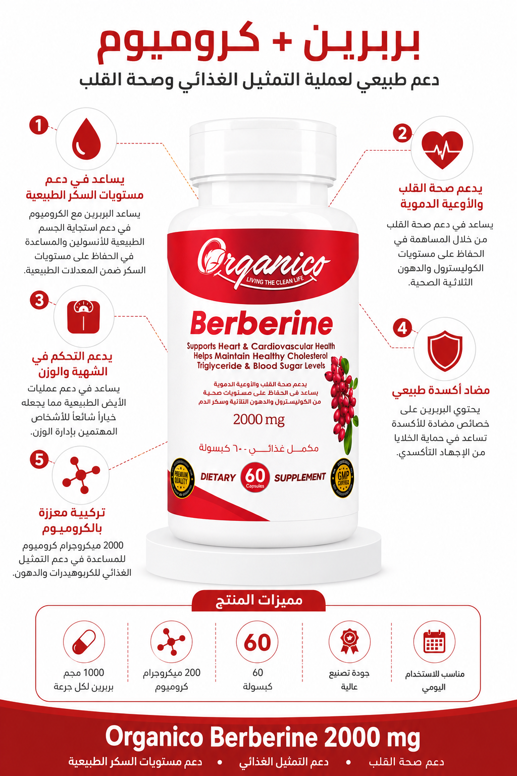 Organico Berberine 1000mg + Chromium 200mcg – Blood Sugar, Metabolism & Appetite Support – 60 Capsules