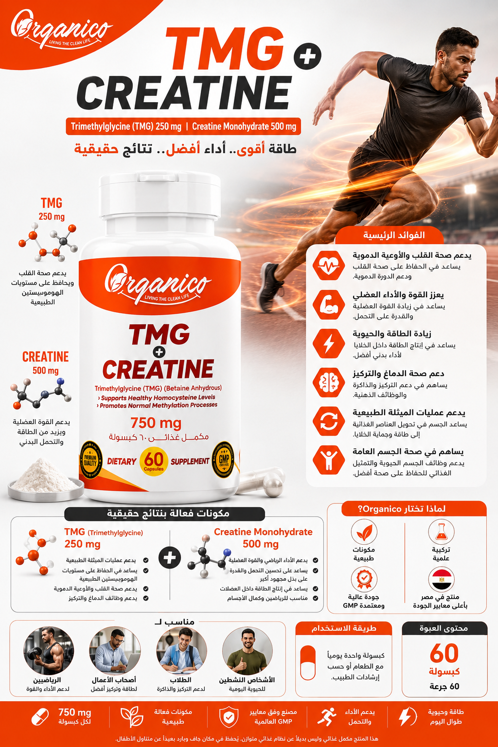 Advanced TMG and Creatine formula designed to support energy production, athletic performance, focus, healthy methylation and cardiovascular wellness. 60 capsules by Organico.