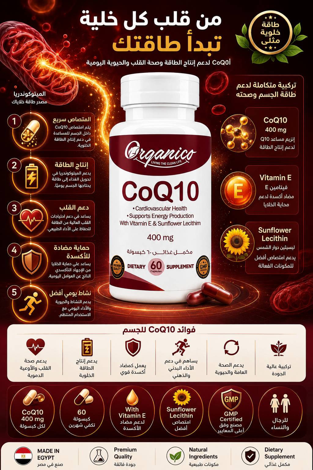 Organico CoQ10 400mg – Heart & Energy Support | 60 Capsules