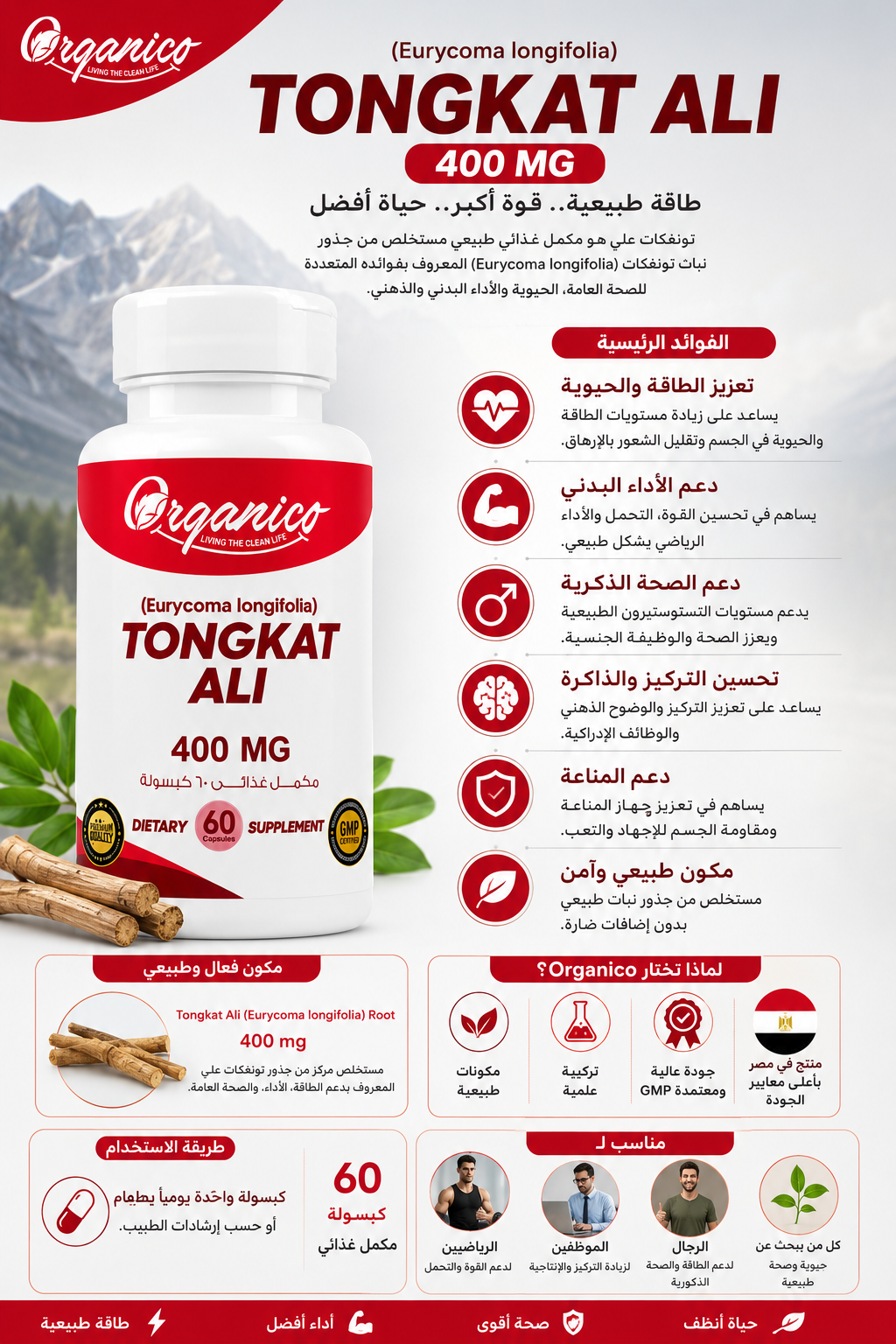 Premium Tongkat Ali 400 mg supplement designed to support energy, vitality, focus, physical performance and overall wellness. 60 capsules from Organico.